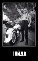 ГОЙДА