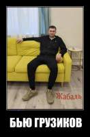 БЬЮ ГРУЗИКОВ